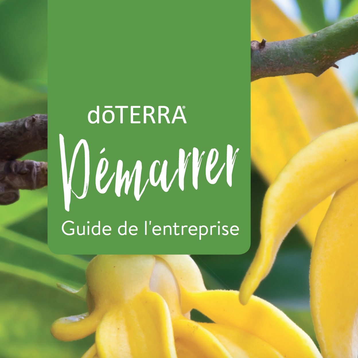 Brochure Vivre
