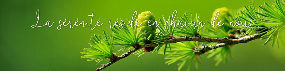 NadiaBaud EnTouteSerenite Kinesiologie Contact